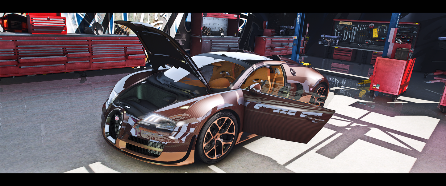 Bugatti Veyron Rembrandt